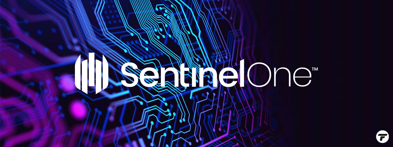 Blog Sentinelone